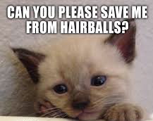 save me from hairballs